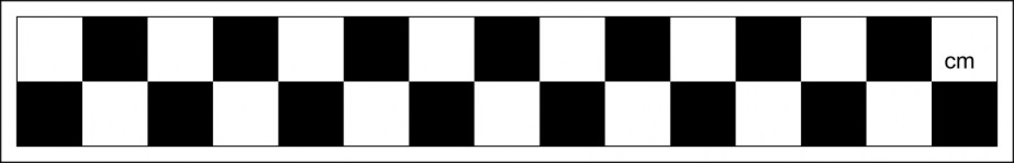 LA15 skalówka szachownica 15cm